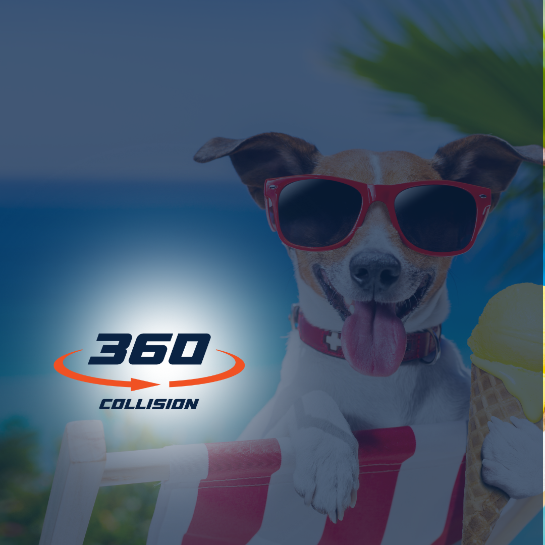 Dog wearing red sunglasses enjoying ice cream, with 360 Collision logo, promoting vehicle security and auto repair services.