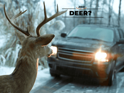 Deer approaching a vehicle on a snowy road, with the text "DEER?" and 360 Collision logo, illustrating collision risks during Thanksgiving in San Antonio.